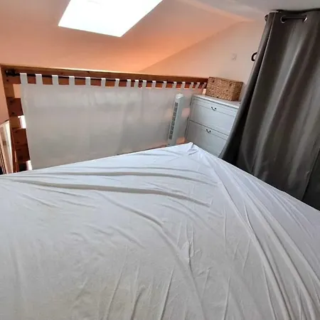Appartement Le Frangipanier - *